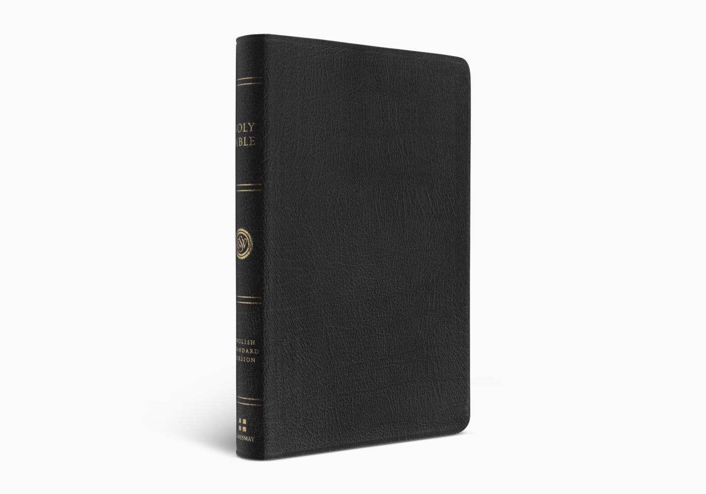 ESV Large Print Thinline Bible-Gen Leather (K497)