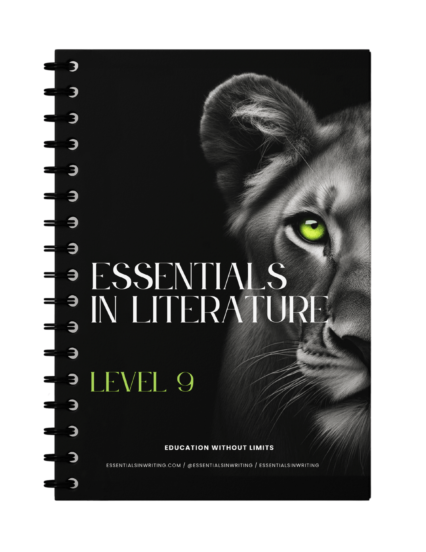 Essentials in Literature 9 Workbook (C9964)