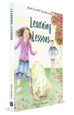 Learning Lessons (N333)